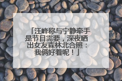 汪峰称与宁静牵手是节目需要，深夜晒出女友森林北合照：我俩好着呢！