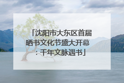 沈阳市大东区首届晒书文化节盛大开幕：千年文脉遇书