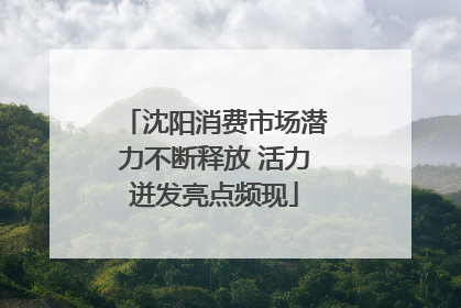 沈阳消费市场潜力不断释放 活力迸发亮点频现