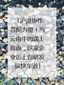 沪滇协作·普陀力量〡当云南牛肉遇上意面，这家企业迈上自研发展快车道