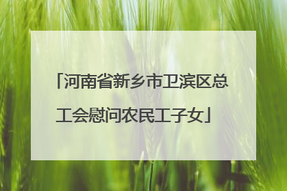 河南省新乡市卫滨区总工会慰问农民工子女