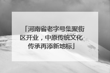 河南省老字号集聚街区开业，中原传统文化传承再添新地标