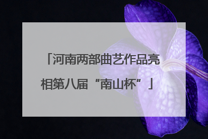 河南两部曲艺作品亮相第八届“南山杯”