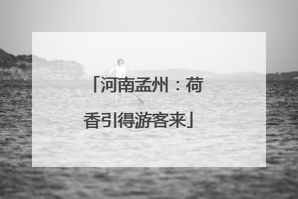 河南孟州：荷香引得游客来