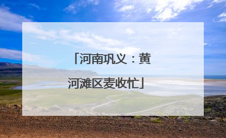河南巩义：黄河滩区麦收忙