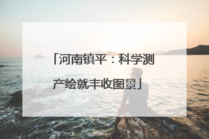 河南镇平：科学测产绘就丰收图景