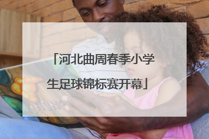 河北曲周春季小学生足球锦标赛开幕