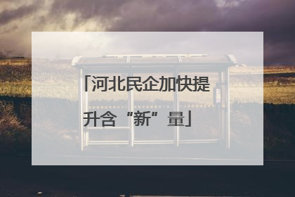 河北民企加快提升含“新”量