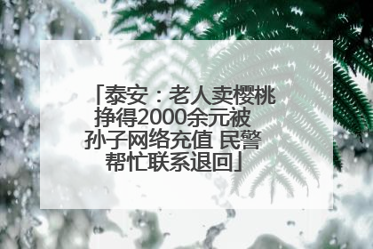 泰安：老人卖樱桃挣得2000余元被孙子网络充值 民警帮忙联系退回