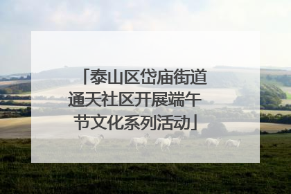 泰山区岱庙街道通天社区开展端午节文化系列活动