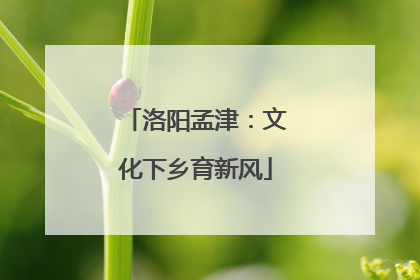洛阳孟津：文化下乡育新风