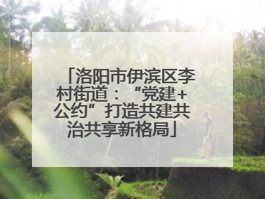 洛阳市伊滨区李村街道：“党建+公约”打造共建共治共享新格局