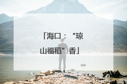 海口：“琼山福稻”香