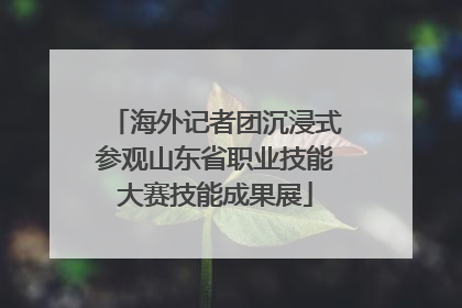 海外记者团沉浸式参观山东省职业技能大赛技能成果展