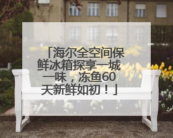 海尔全空间保鲜冰箱探享一城一味，冻鱼60天新鲜如初！