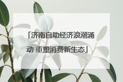 济南自助经济浪潮涌动 重塑消费新生态