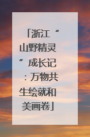 浙江“山野精灵”成长记：万物共生绘就和美画卷