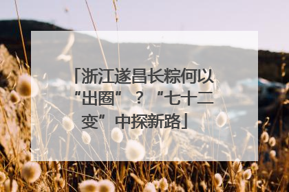 浙江遂昌长粽何以“出圈”？“七十二变”中探新路