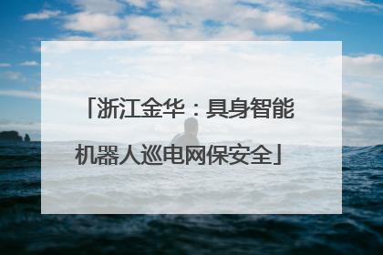 浙江金华：具身智能机器人巡电网保安全