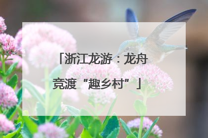 浙江龙游：龙舟竞渡“趣乡村”