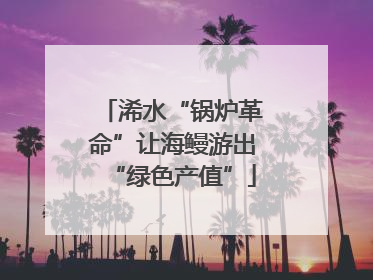 浠水“锅炉革命”让海鳗游出“绿色产值”