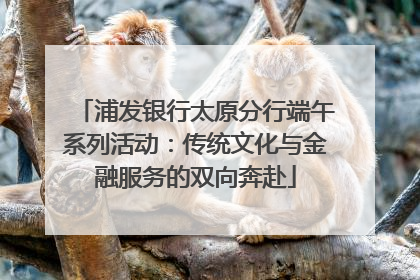 浦发银行太原分行端午系列活动：传统文化与金融服务的双向奔赴