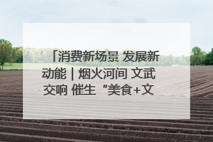 消费新场景 发展新动能｜烟火河间 文武交响 催生“美食+文化”消费新场景