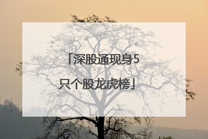 深股通现身5只个股龙虎榜