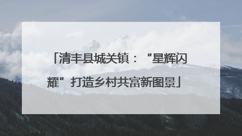 清丰县城关镇：“星辉闪耀”打造乡村共富新图景