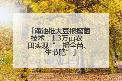 渑池推大豆根瘤菌技术，1.3万亩农田实现“一播全苗、一生节肥”