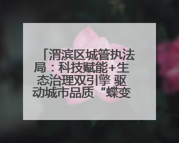 渭滨区城管执法局：科技赋能+生态治理双引擎 驱动城市品质“蝶变跃升”