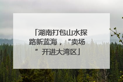 湖南打包山水探路新蓝海，“卖场”开进大湾区