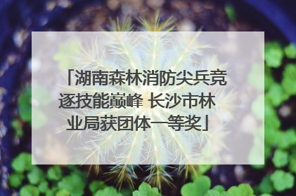 湖南森林消防尖兵竞逐技能巅峰 长沙市林业局获团体一等奖