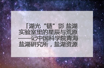 湖光“链”影 盐湖实验室里的星辰与荒原——记中国科学院青海盐湖研究所，盐湖资源化学实验室党总支书记、副主任刘忠