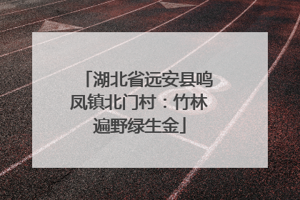 湖北省远安县鸣凤镇北门村：竹林遍野绿生金