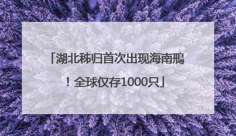 湖北秭归首次出现海南鳽！全球仅存1000只