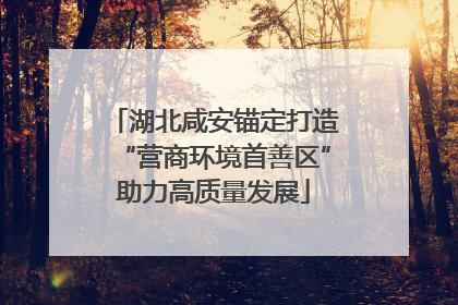 湖北咸安锚定打造“营商环境首善区”助力高质量发展
