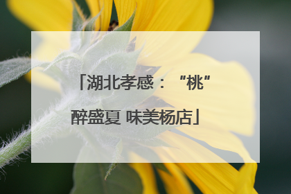 湖北孝感：“桃”醉盛夏 味美杨店