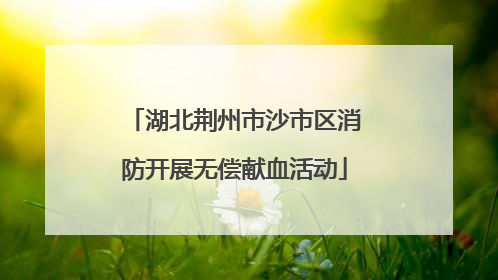湖北荆州市沙市区消防开展无偿献血活动