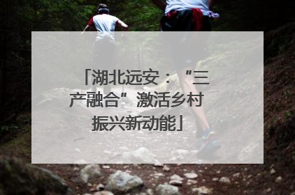 湖北远安：“三产融合”激活乡村振兴新动能