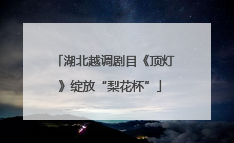 湖北越调剧目《顶灯》绽放“梨花杯”