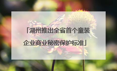 湖州推出全省首个童装企业商业秘密保护标准