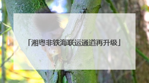 湘粤非铁海联运通道再升级