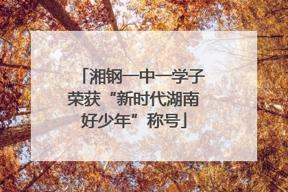 湘钢一中一学子荣获“新时代湖南好少年”称号