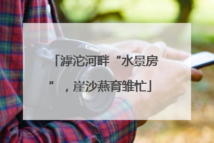 滹沱河畔“水景房”，崖沙燕育雏忙