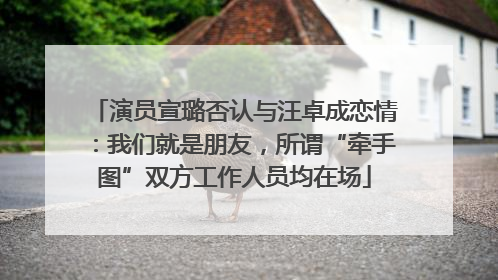 演员宣璐否认与汪卓成恋情：我们就是朋友，所谓“牵手图”双方工作人员均在场