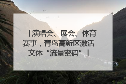 演唱会、展会、体育赛事，青岛高新区激活文体“流量密码”