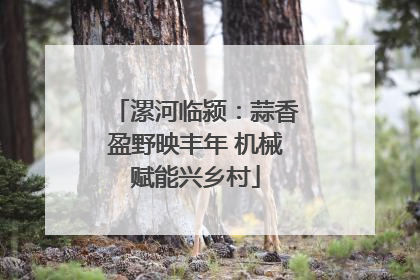 漯河临颍：蒜香盈野映丰年 机械赋能兴乡村