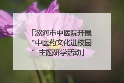 漯河市中医院开展“中医药文化进校园”主题研学活动