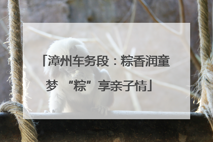 漳州车务段：粽香润童梦 “粽”享亲子情